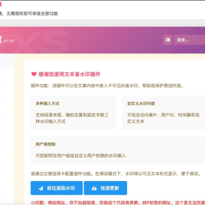 WordPress插件 文本盲水印 文字版权保护插件