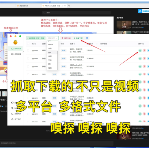 视频号等多平台网络资源嗅探下载器