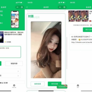 2026最新去水印小程序源码，已添加完整流量主广告，可直接运营