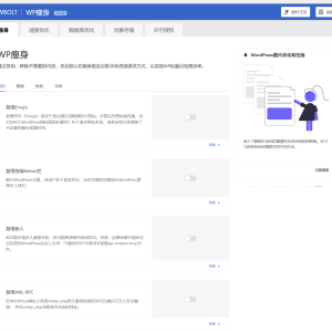 WordPress 性能优化插件