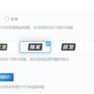 wordpress 自定义文章前缀 插件 无加密